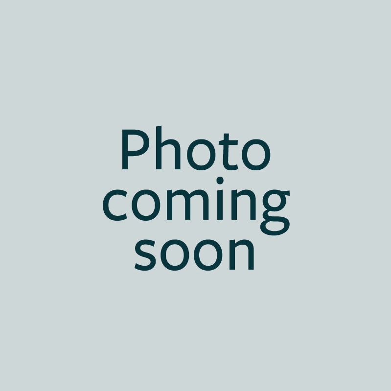 Placeholder image for Reece Buist, Finance Business Partner for Lime.
